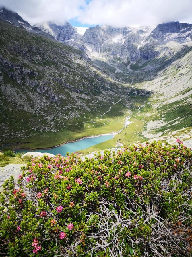 Hotel Rifugio Stella Alpina Saviore dell'Adamello Esterno foto